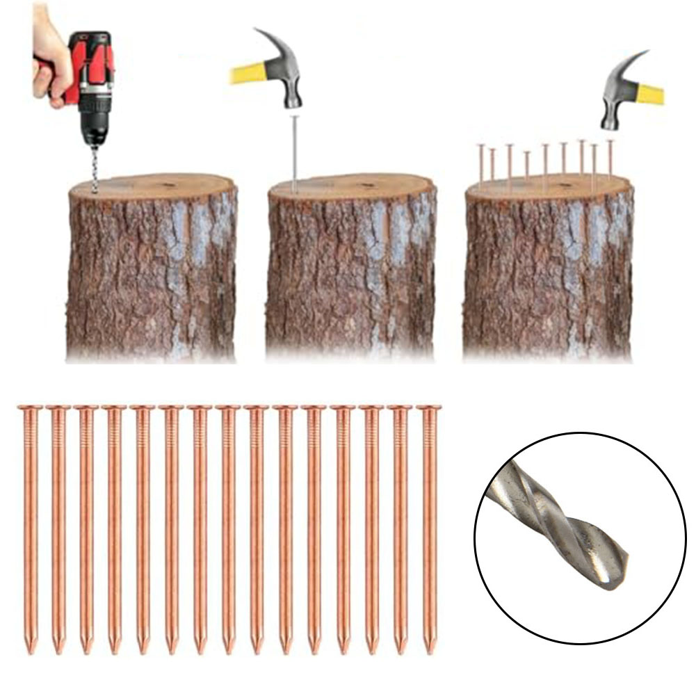 Gardening Tools Target - 나무 그루터기용 2인치 순동 못 –