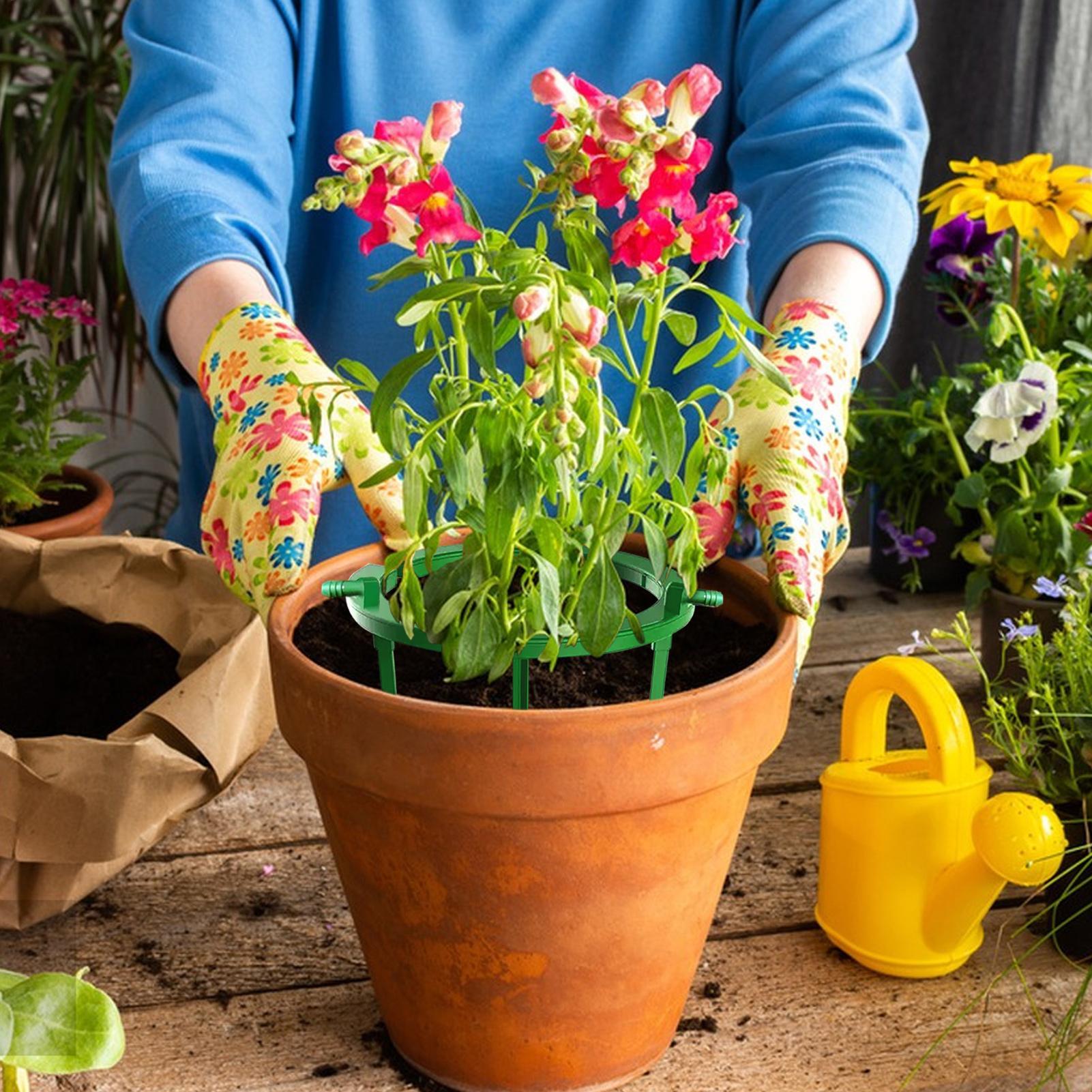 식물 물링크 링 플랜트 하이드로 링 드립 루프 점적 관 - Gardening Tools Target 리뷰 및 가격