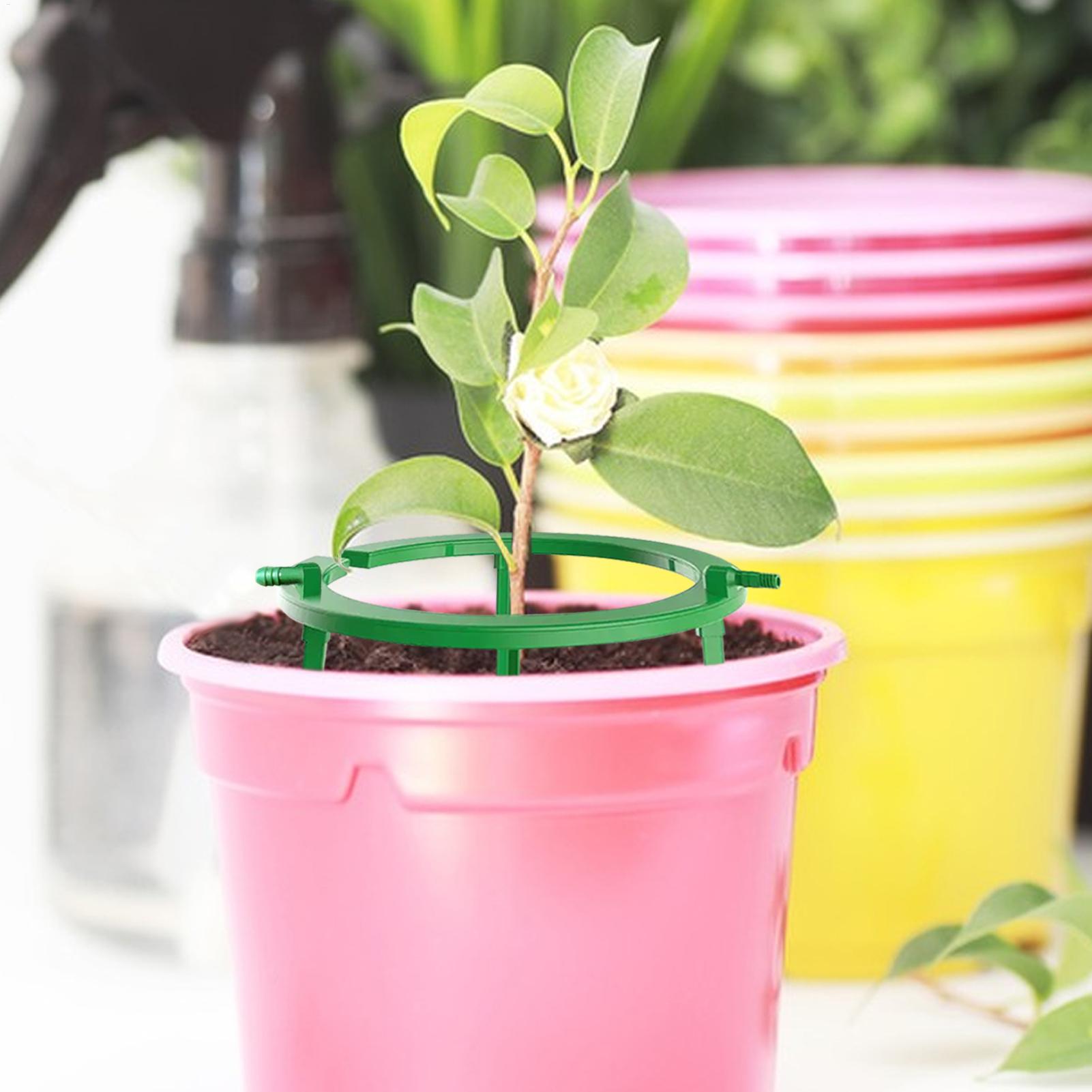 식물 물링크 링 플랜트 하이드로 링 드립 루프 점적 관 - Gardening Tools Target 리뷰 및 가격