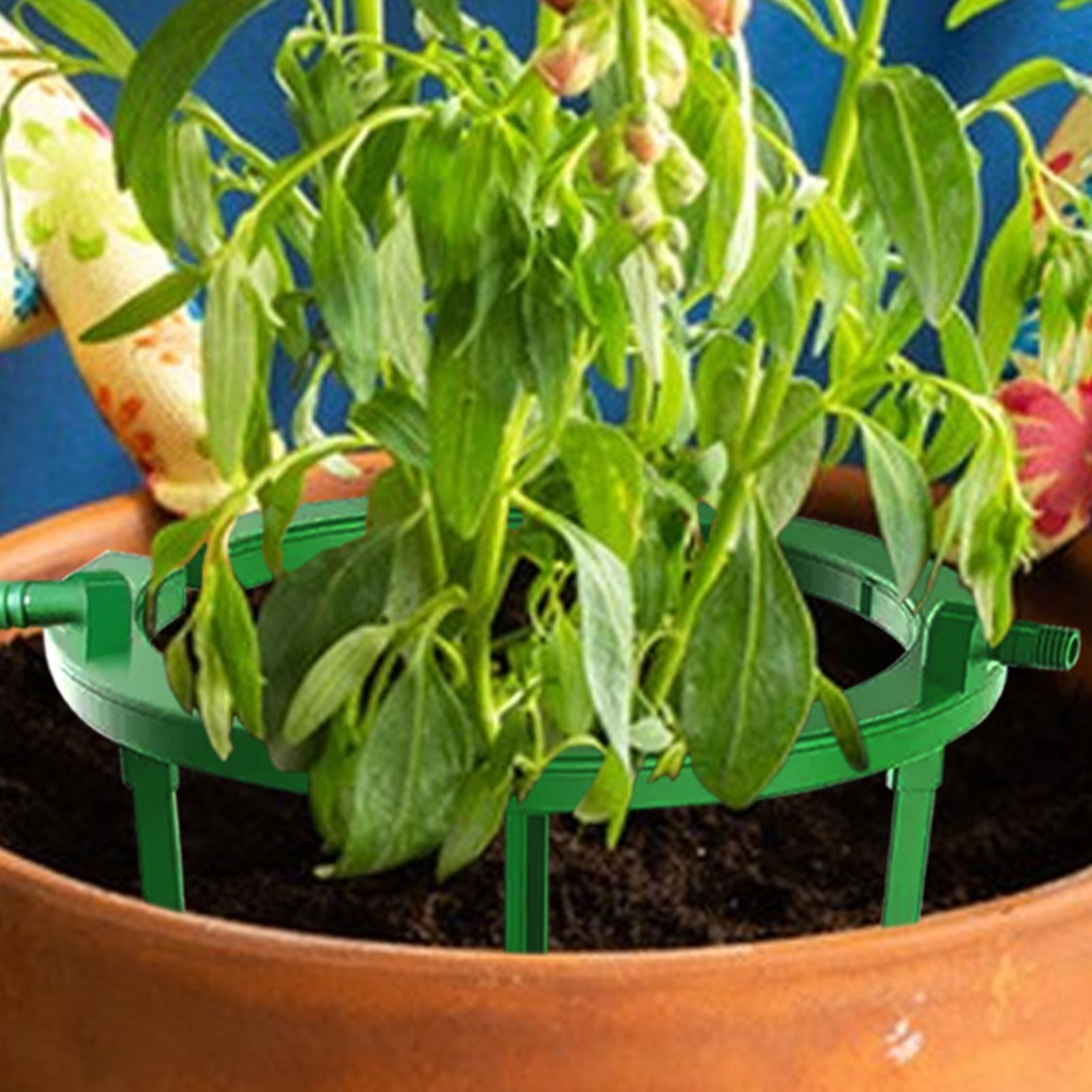 식물 물링크 링 플랜트 하이드로 링 드립 루프 점적 관 - Gardening Tools Target 리뷰 및 가격