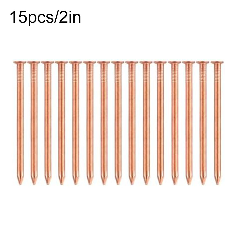 나무 그루터기용 2인치 순동 못 – 그루터기 제거용 뿌 - Gardening Tools Target 리뷰 및 가격