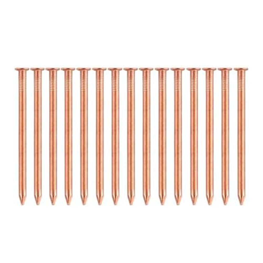 나무 그루터기용 2인치 순동 못 – 그루터기 제거용 뿌 - Gardening Tools Target 리뷰 및 가격