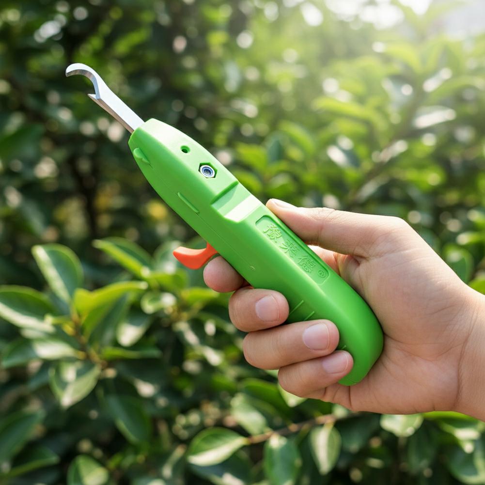 과일 및 채소 수확용 가위, 정원용 전정 가위, 곡선형 - Gardening Tools Vegetables 리뷰 및 가격