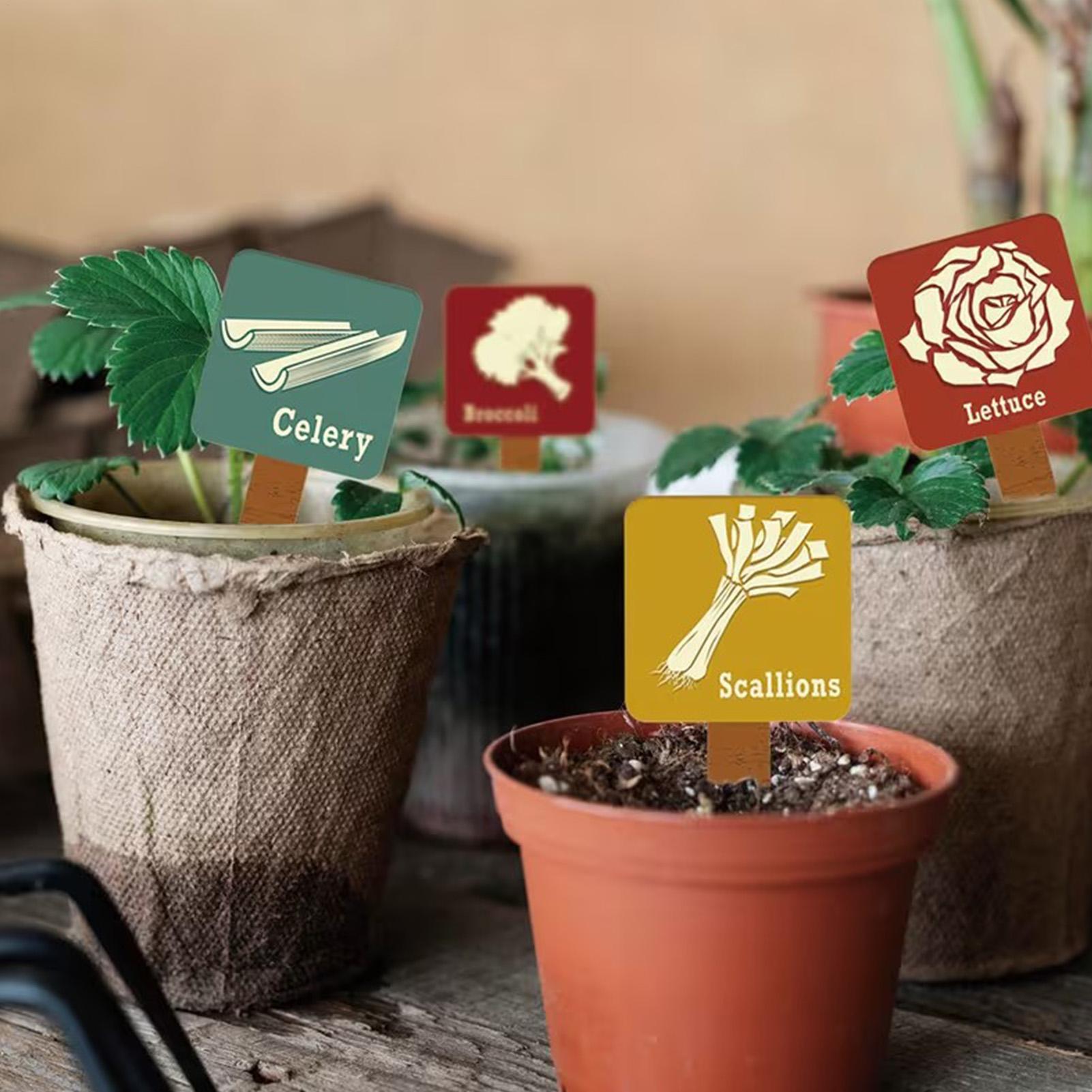 15개 T자형 표지판 태그 마커 나무 식물 라벨 스테이 - Plant Label Tags 리뷰 및 가격
