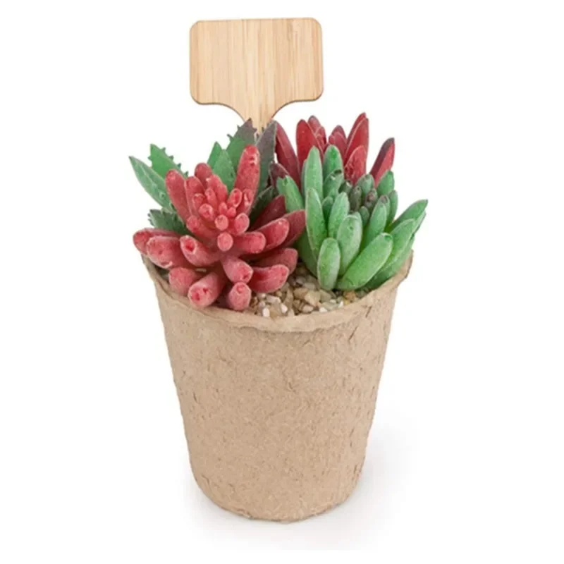 10개입 T형 나무 식물 라벨 친환경 정원 대나무 태그 - Plant Label Tags 리뷰 및 가격