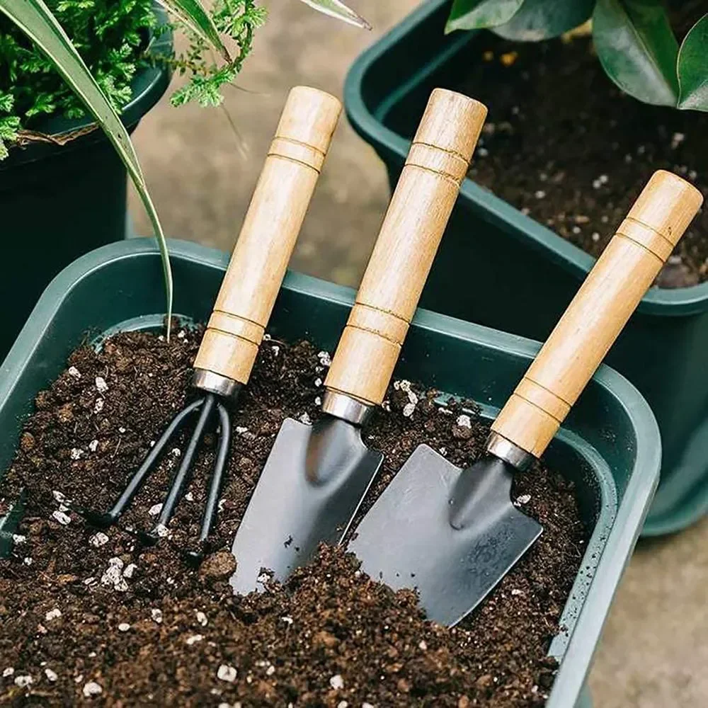 3개/세트 미니 정원 도구 세트 소형 실내 식물 관리용 - Gardening Tools Vegetables 리뷰 및 가격