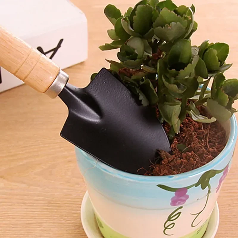 3개/세트 미니 정원 도구 세트 소형 실내 식물 관리용 - Gardening Tools Vegetables 리뷰 및 가격