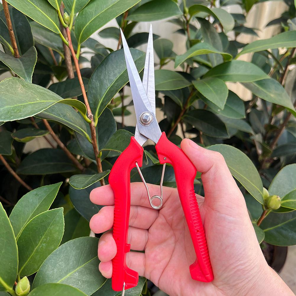 프로 가든 전정가위 연장형 나무 꽃 가위 수제 분재 가 - Gardening Tools Vegetables 리뷰 및 가격