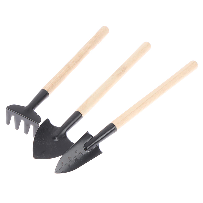 13종 식물 정원 도구 세트 (다육식물, 화분 식물,  - Gardening Tools Australia 리뷰 및 가격