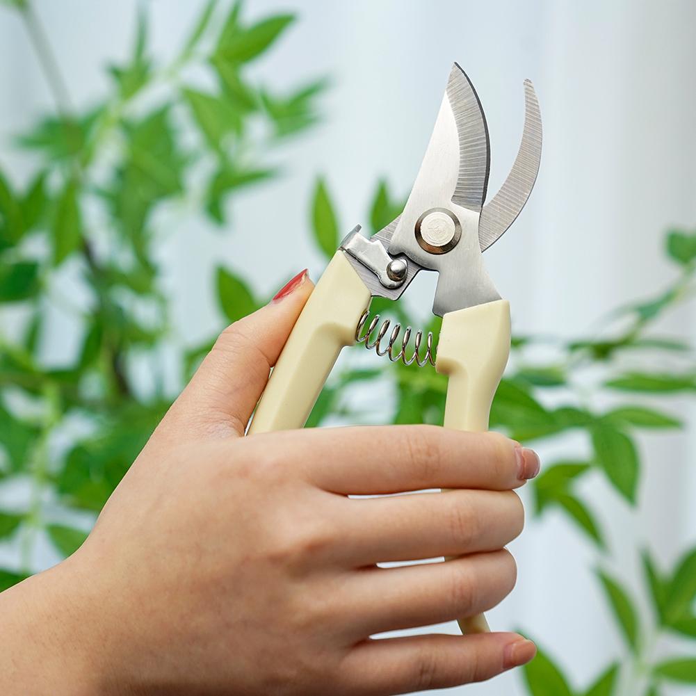 식물용 정원 가위, 원예용 손가위, 꽃가위, 꽃과 나뭇 - Gardening Tools Australia 리뷰 및 가격