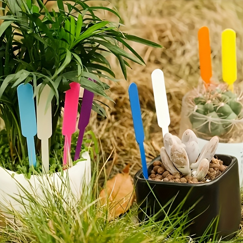 30Pcs 방수 재사용 가능한 식물 태그 무작위 색상  - Plant Label Tags 리뷰 및 가격
