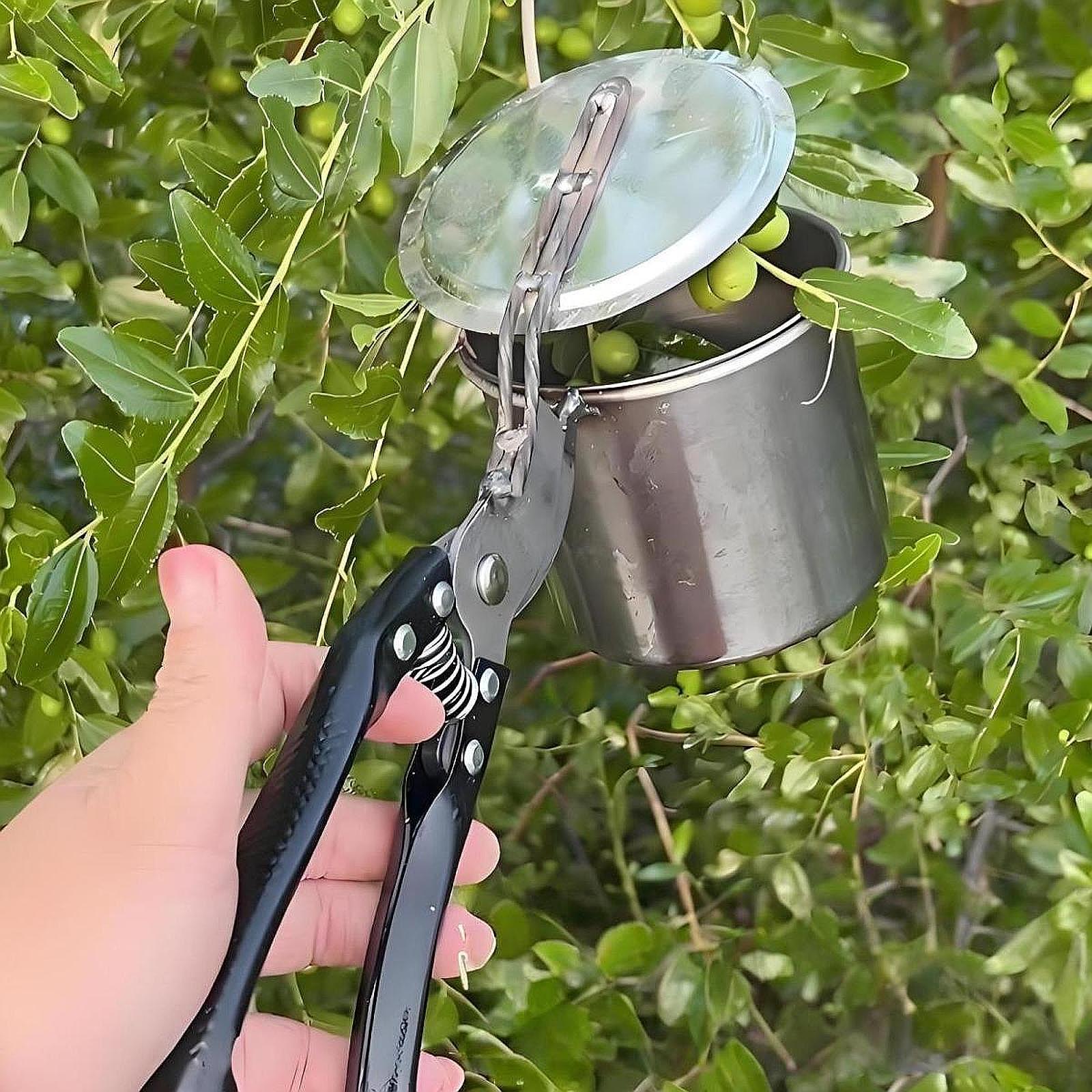 과일 선택기, 사용하기 쉬운 휴대용 원예 도구, 수동  - Gardening Tools Vegetables 리뷰 및 가격