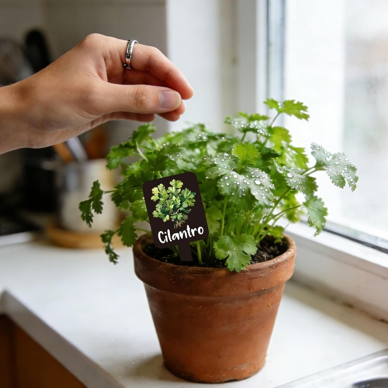 24개 식물 라벨 세트, 이름표가 있는 허브 정원 마커 - Plant Label Tags 리뷰 및 가격